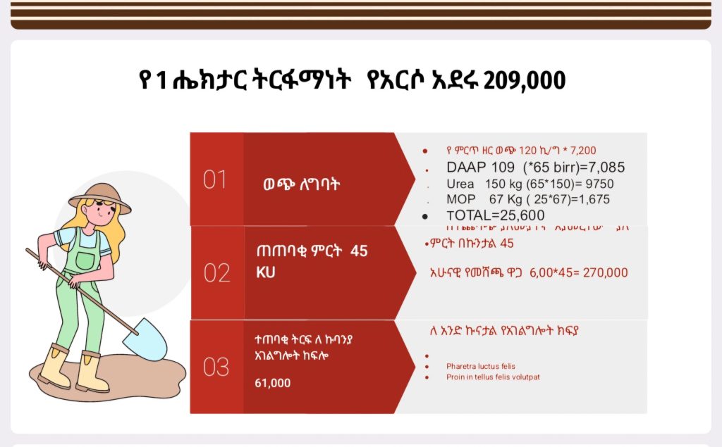ተገማች የአርሶአደሩ ትርፋማነት በ 1ሔክታር